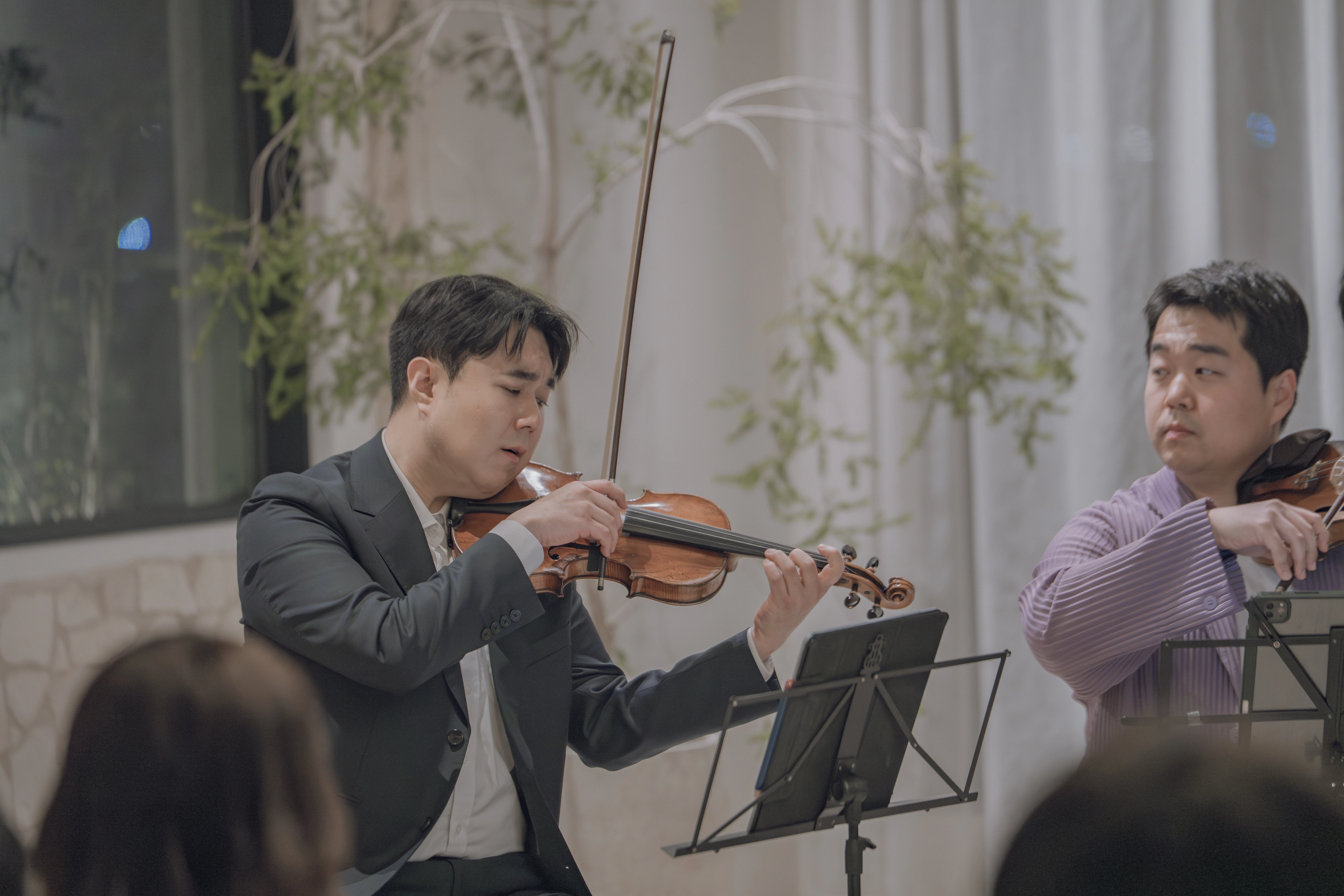 바이올리니스트 클로즈업